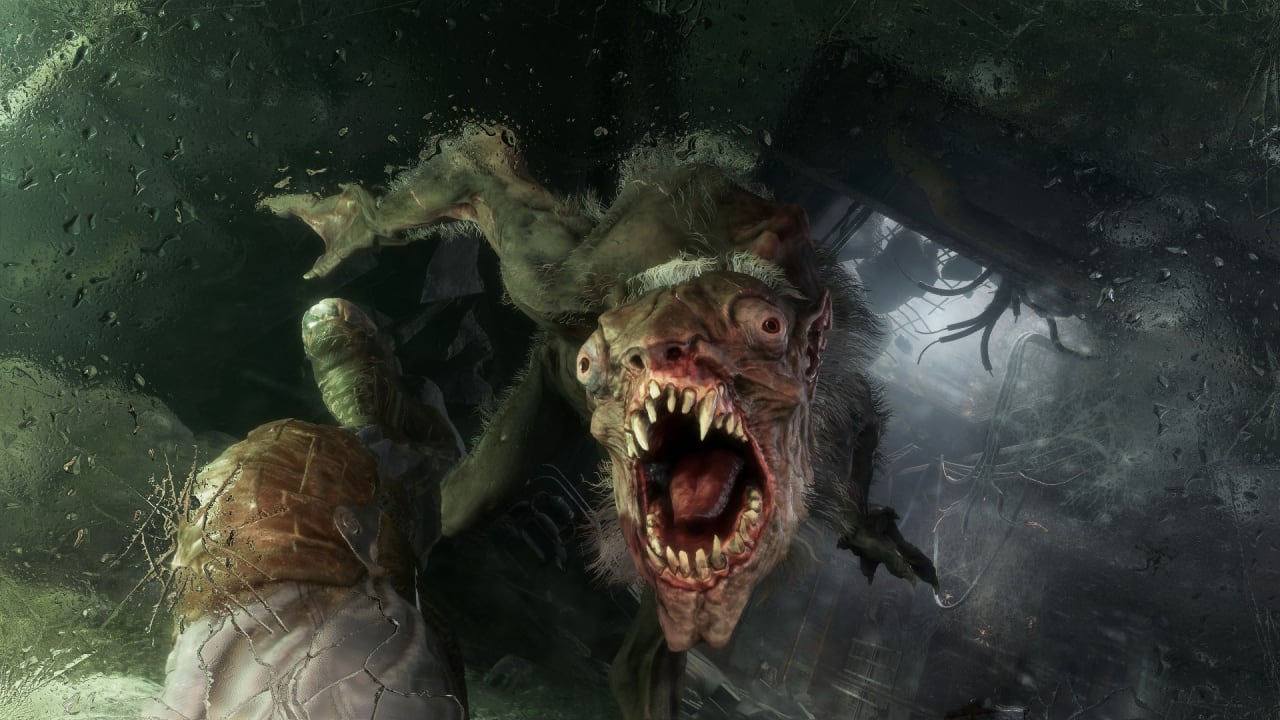 Скриншот Metro Exodus: Enhanced Edition + DLC