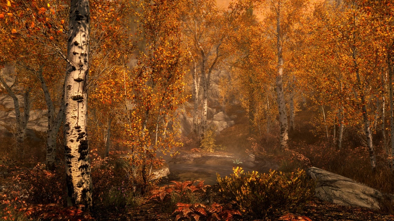 Скриншот The Elder Scrolls V: Skyrim Special Edition
