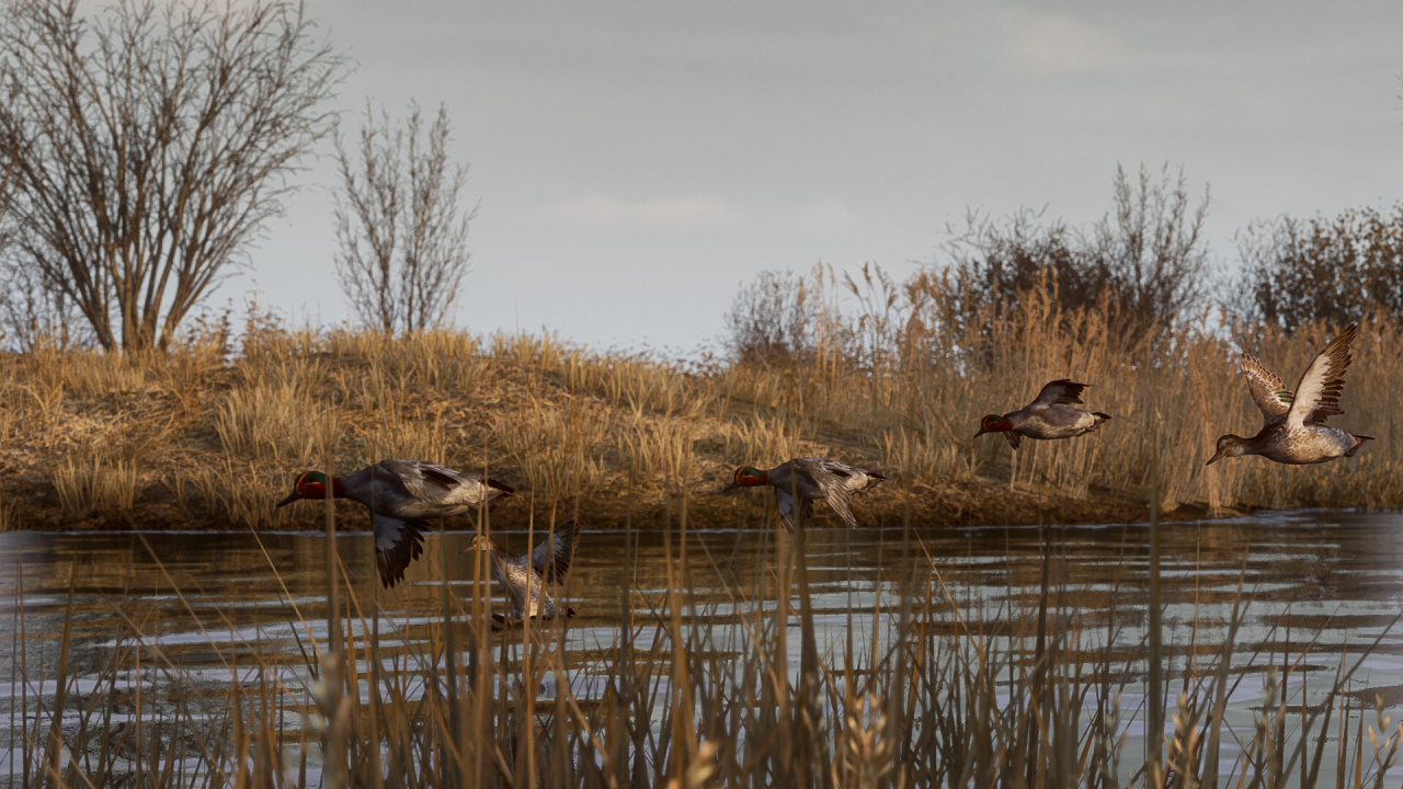 Скриншот BULT – Hunting Simulator