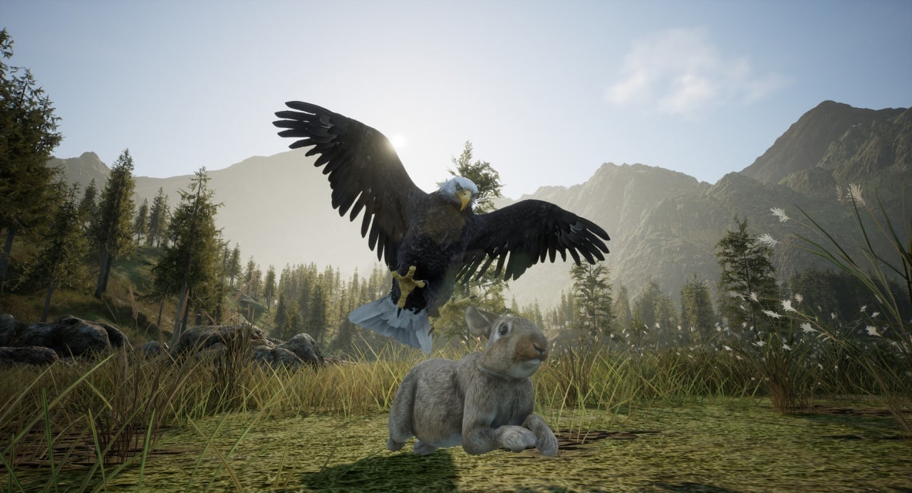 Скриншот Wilderness