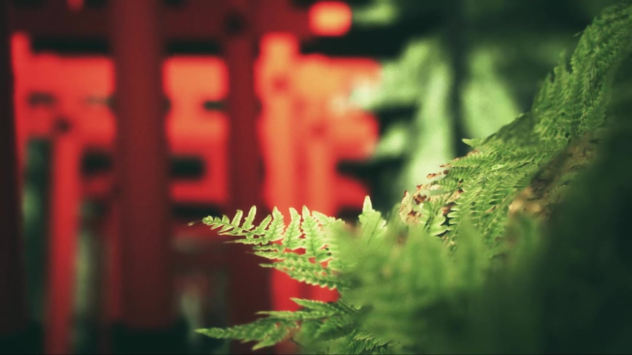 Скриншот Explore Fushimi Inari