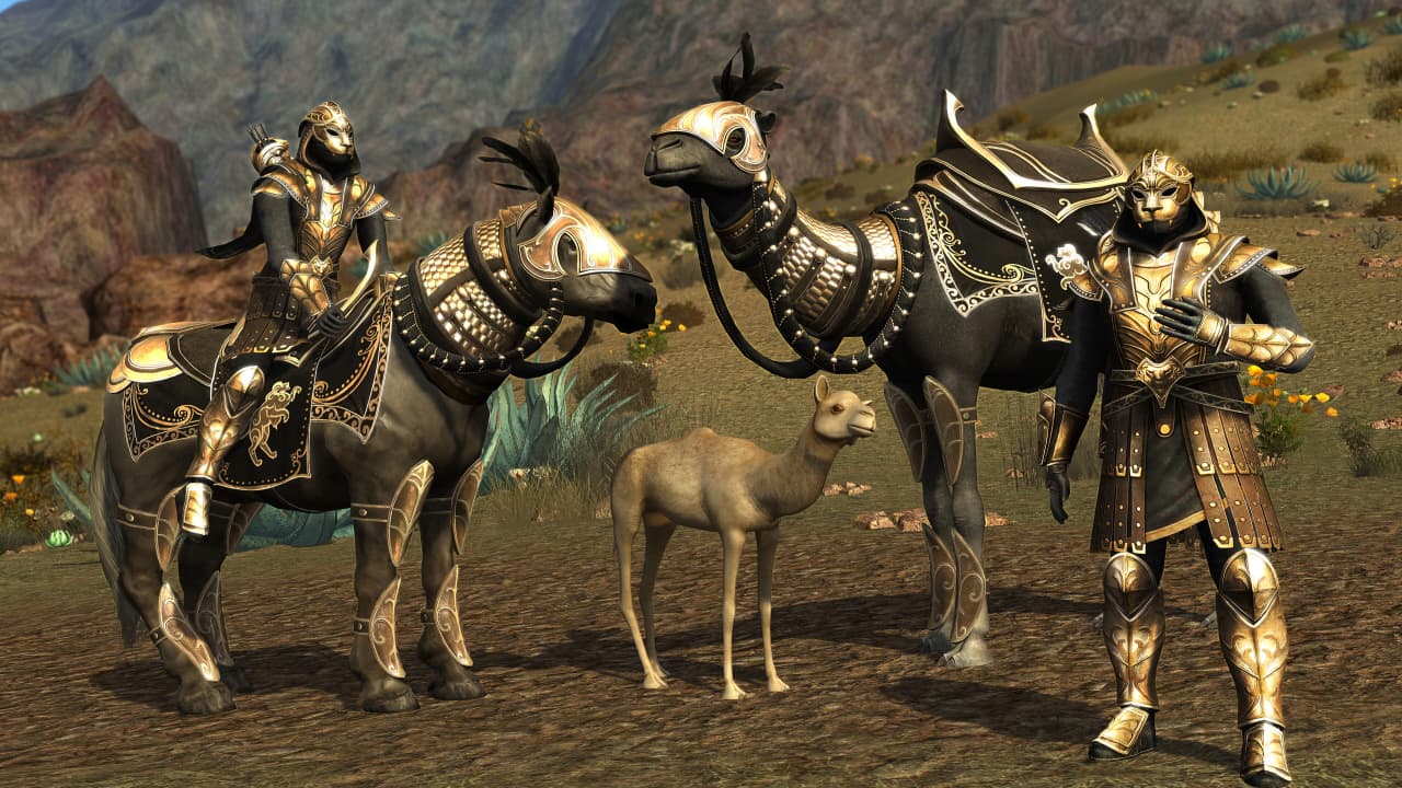 Скриншот The Lord of the Rings Online