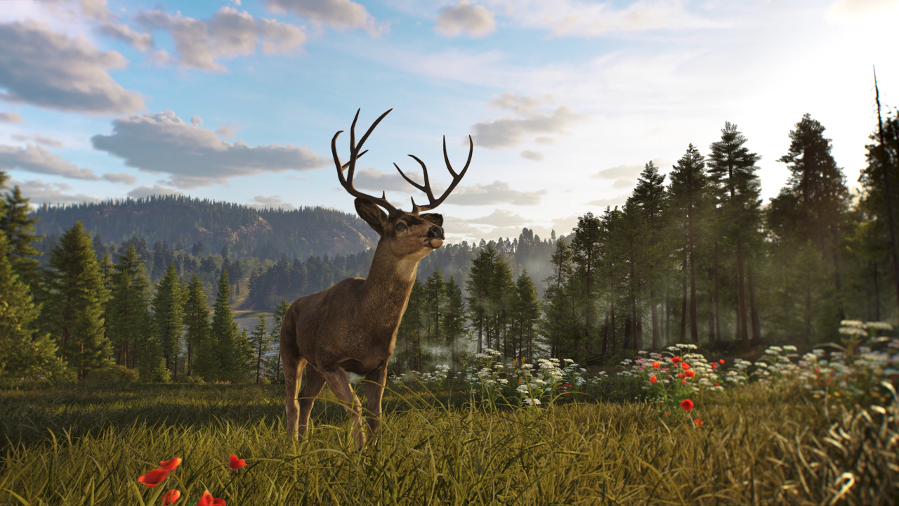 Скриншот Way of the Hunter 2