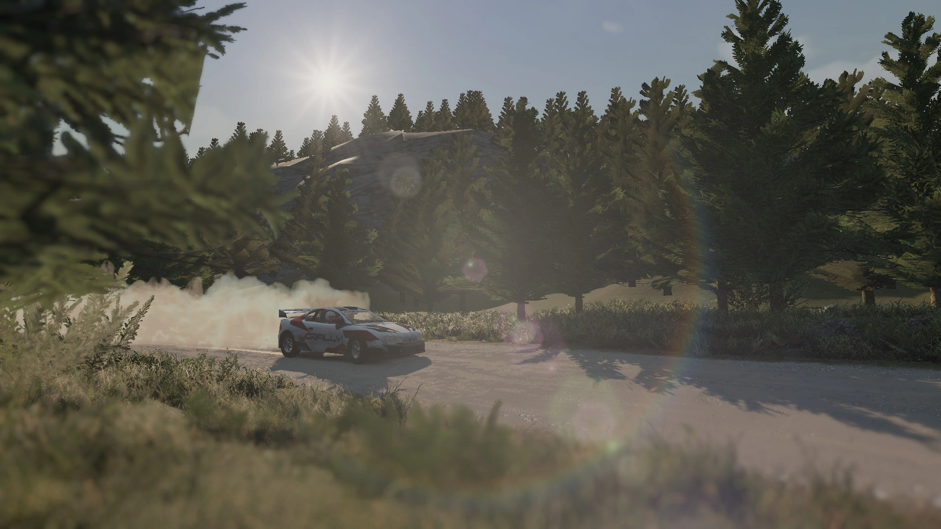 Скриншот gRally (Джи Ралли)